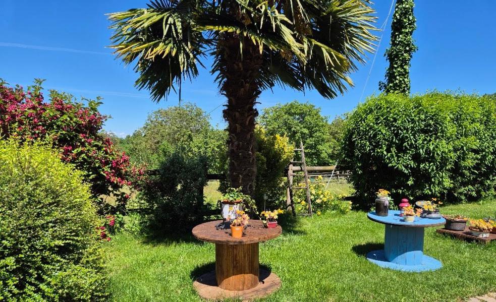 B&B Alla Borgata Boves Εξωτερικό φωτογραφία